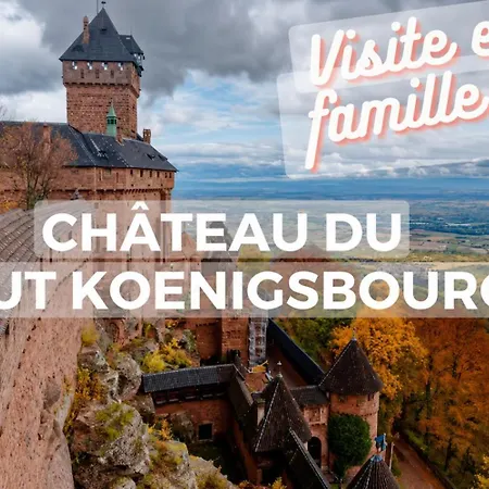 Maison Avec Piscine Village Prefere Des Francais * Bergheim